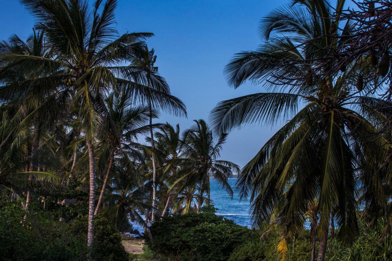 Msambweni Beach House Villa Buitenkant foto